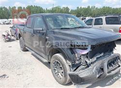 فۆرد F-150